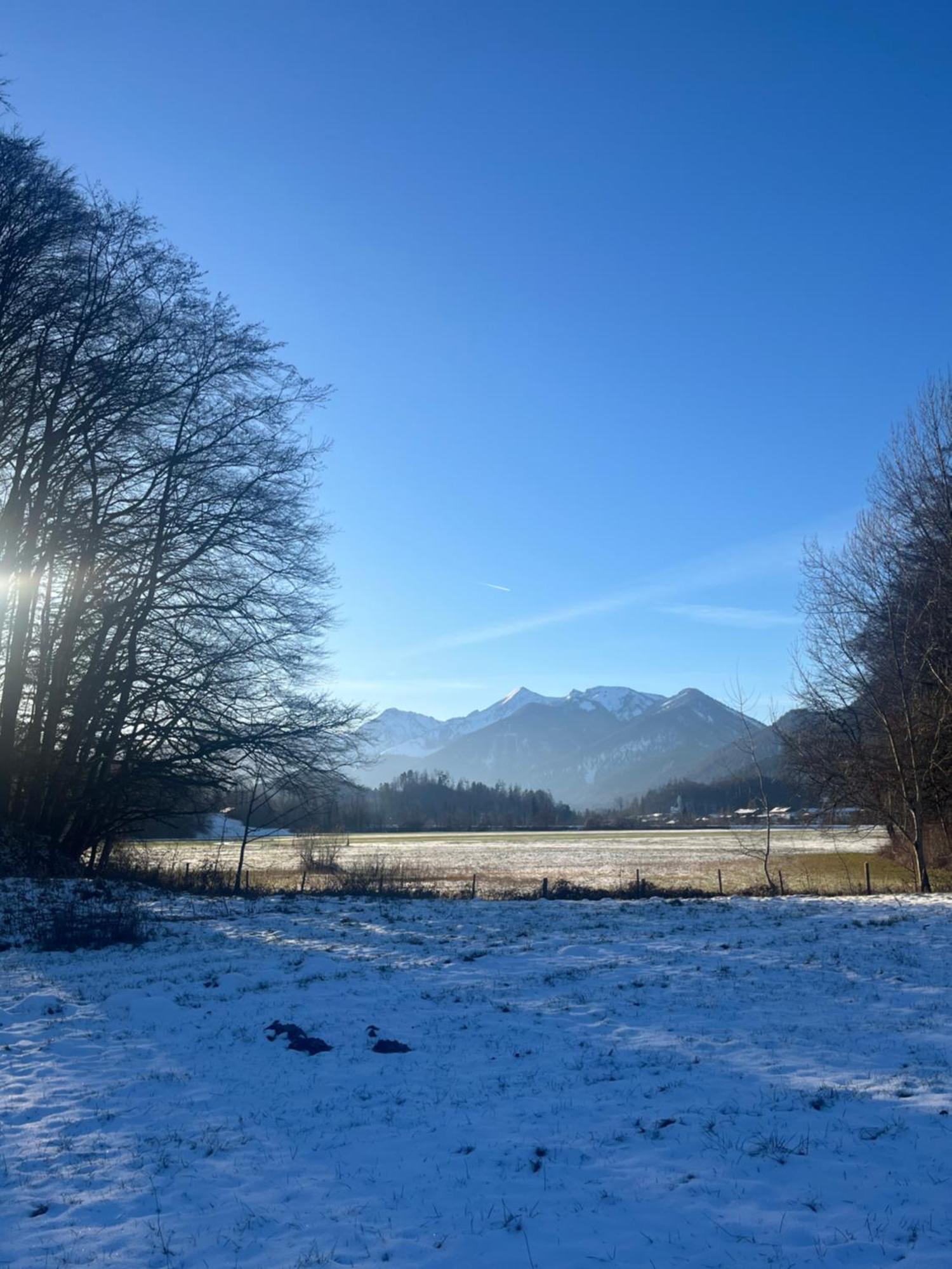 Charmantes Garten-Apartment: Erholung Im Chiemgau Unterwössen Dış mekan fotoğraf